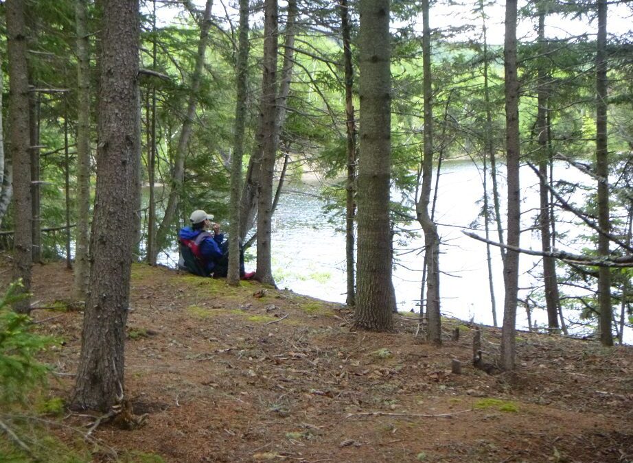 Wilderness, A Catalyst for Change in Treatment