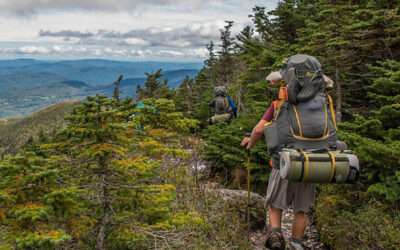 The “Straight Line” Myth: Why the Path Through Adolescent Residential Treatment is Not Linear