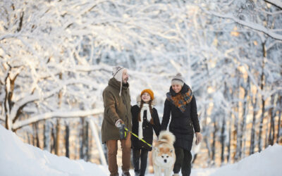 The Power of Family Rituals: Creating Connection That Lasts