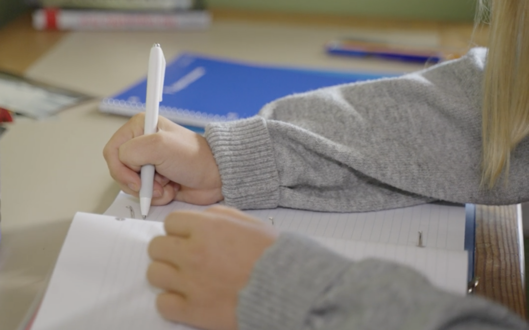 Supporting Your Child’s Academic Life (While They Do the Heavy Lifting)